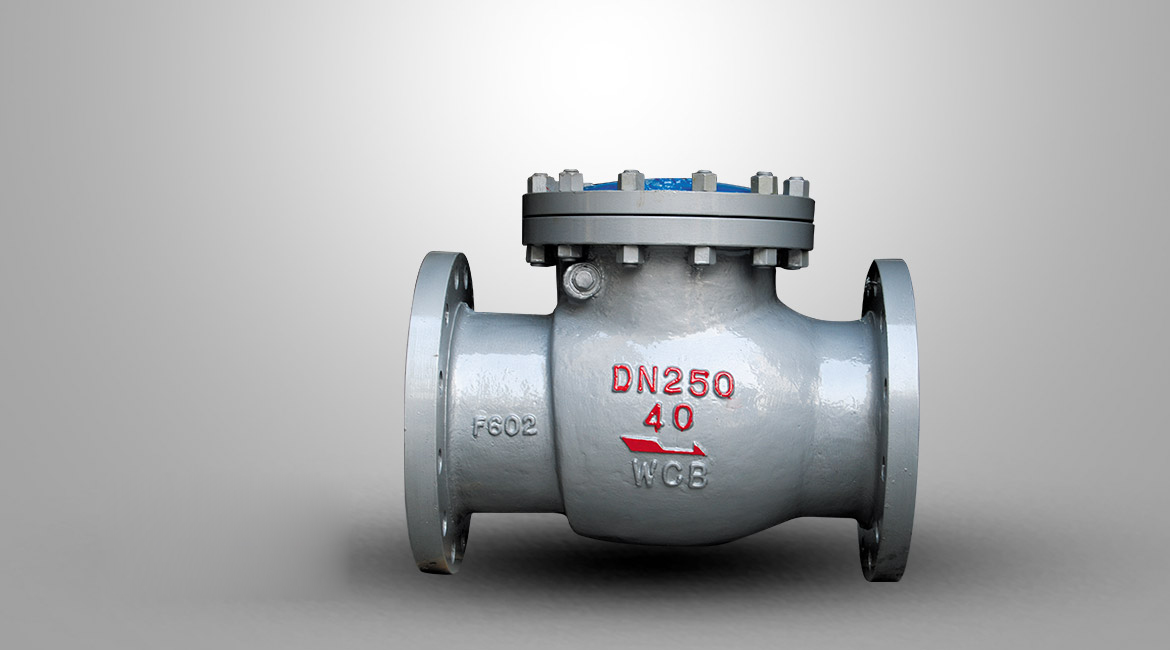 國標旋啟式止回閥